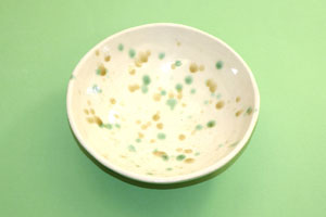 2025織部黄瀬戸鉢