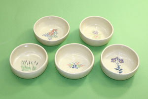 2025絵替わり小鉢